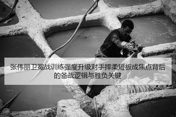 张伟丽卫冕战训练强度升级对手摔柔短板成焦点背后的备战逻辑与胜负关键